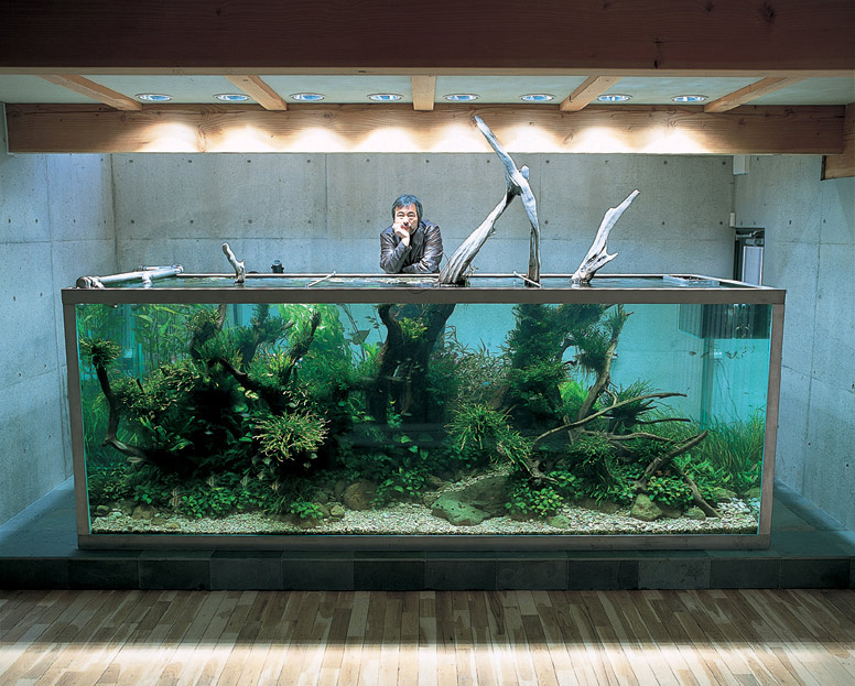 Japonec vyrába fascinujúce prírodné akvária