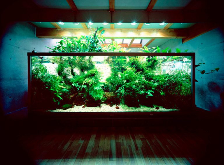 Japonec vyrába fascinujúce prírodné akvária