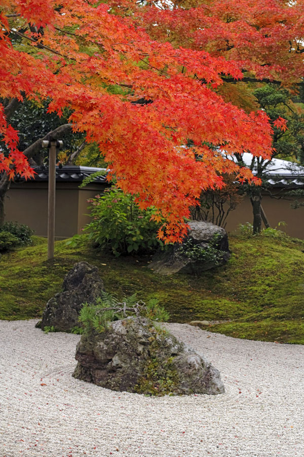 Pre japonské záhrady sú charakteristické prehľadné tvary a jednoduchý vzhľad, ktorý je pôsobivý po celý rok.