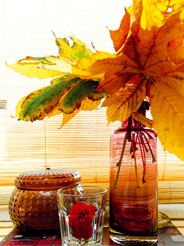Jesenná príroda toho ponúka veľa. Desiatky odtieňov rôznych farieb si domov prinesiete v podobe obyčajných listov.