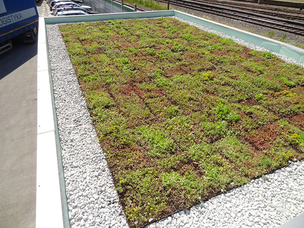Zelené strechy sa dnes môžu jednoduchšie inštalovať aj udržiavať