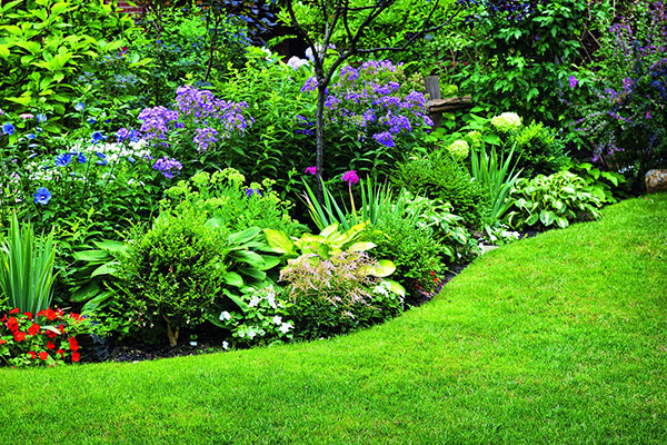 Aby vaša záhrada na jar rozkvitala …