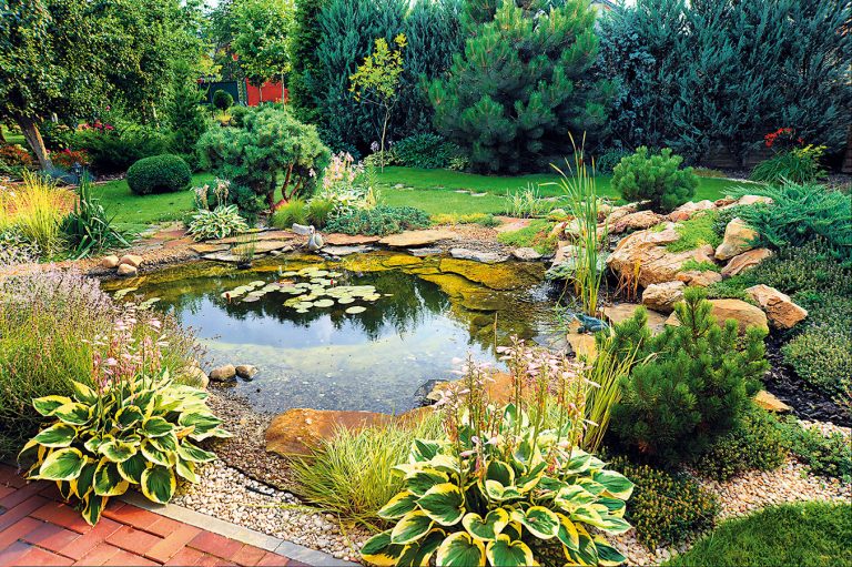 Záhradné jazierko je oživením každej záhrady. Ako nepokaziť jeho výsadbu?