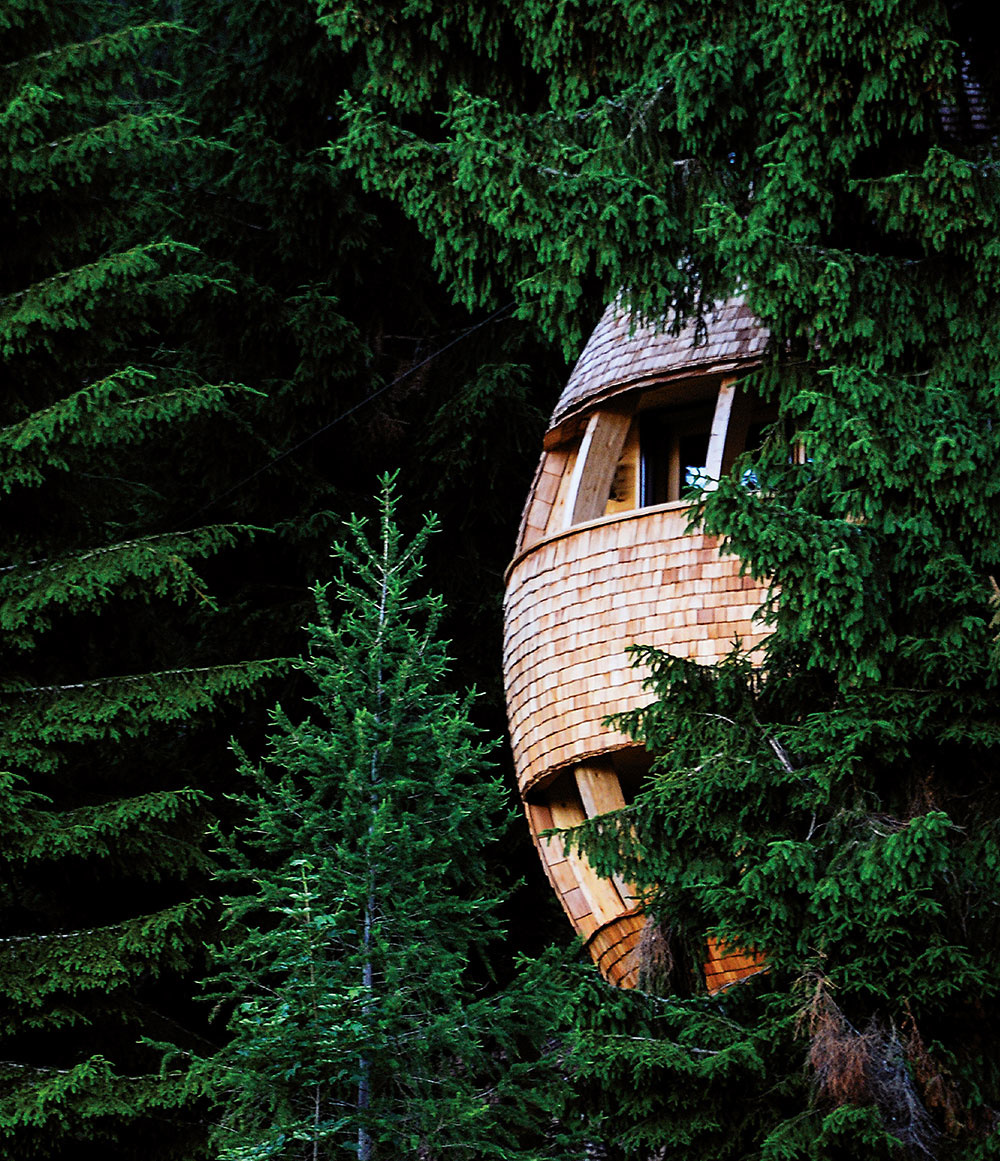 Jedinečný dom na strome postavili v tvare šišky!