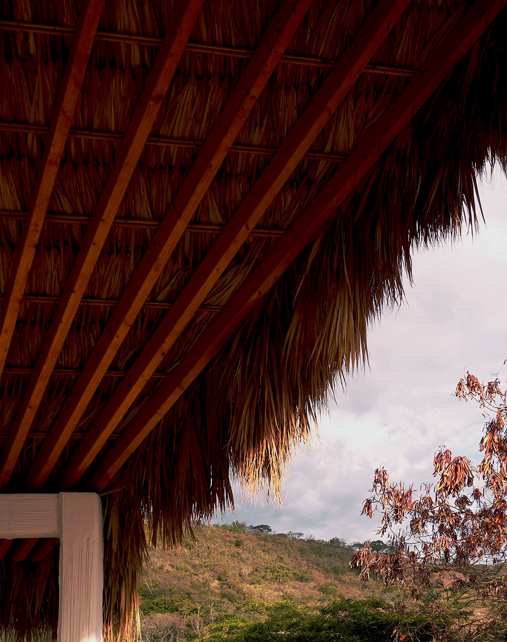 Palmová strecha ochráni obyvateľov domu aj pred silným vetrom