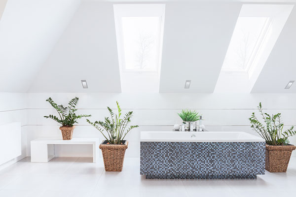 Najnovší kúpeľňový trend: Skrášlite si priestor izbovými rastlinami