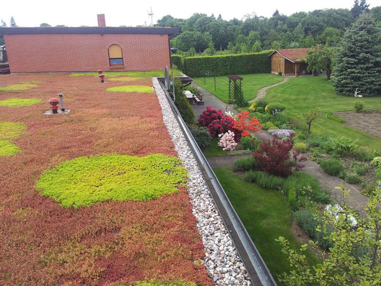 5. časť seriálu o strechách: Zelená strecha Eco-Active