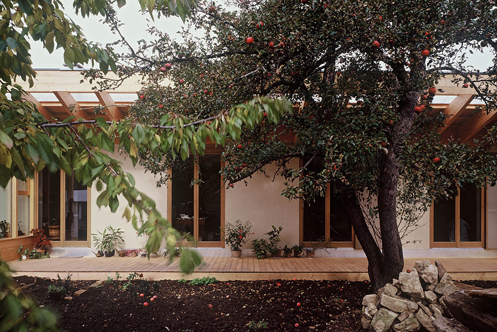 Prízemný dom skrytý za lamelami: Zimná záhrada a kaktusový skleník na streche