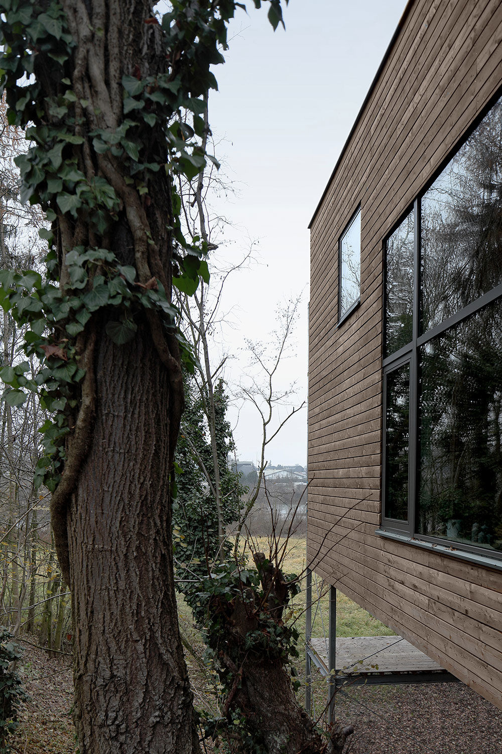 Moderný drevodom v korunách stromov: Jedáleň majú uprostred lesa