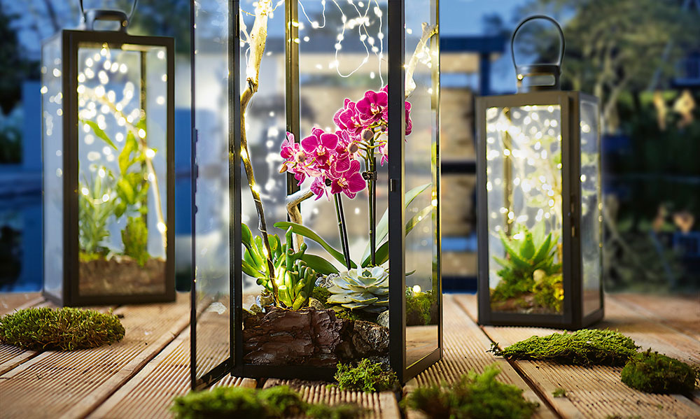 Hotovo Nový biolampáš s rastlinami a so svetielkami je pripravený na skrášlenie priestoru. Ako sa vám páči? Vyskúšajte to!