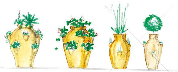 Rastlina a nádoba – ako a čo kombinovať
