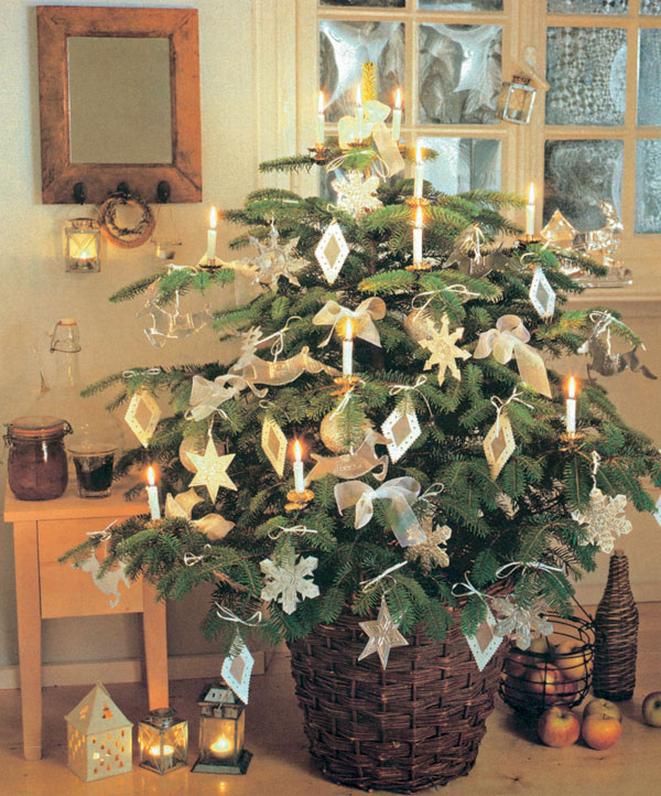 Vianočný stromček v črepníku