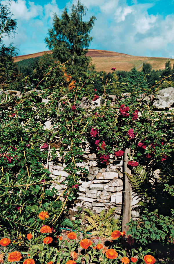 Záhrada v „kamennej zemi“: Farebné potešenie v škótskom pohraničí