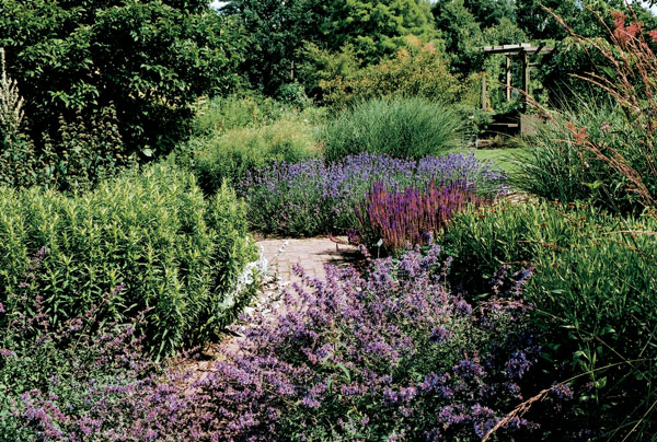 Záhrada pre začiatočníkov, alebo rozohrajte vašu záhradu farbami