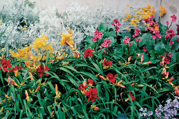 Záhrada pre začiatočníkov, alebo rozohrajte vašu záhradu farbami