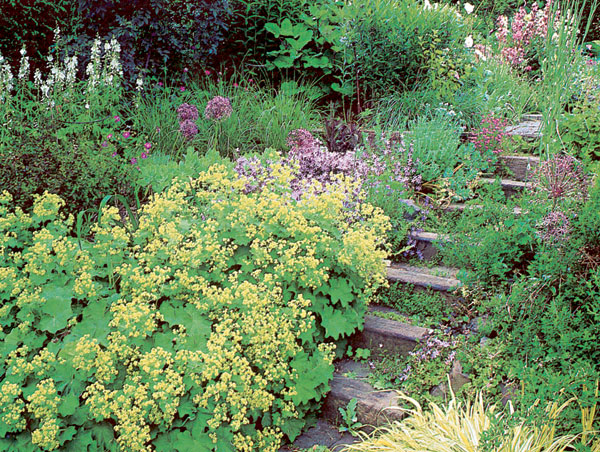 Záhrada na kopci: alebo svahy, kvitnúce múriky a skalky