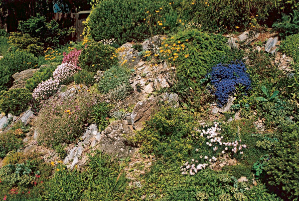 Záhrada na kopci: alebo svahy, kvitnúce múriky a skalky