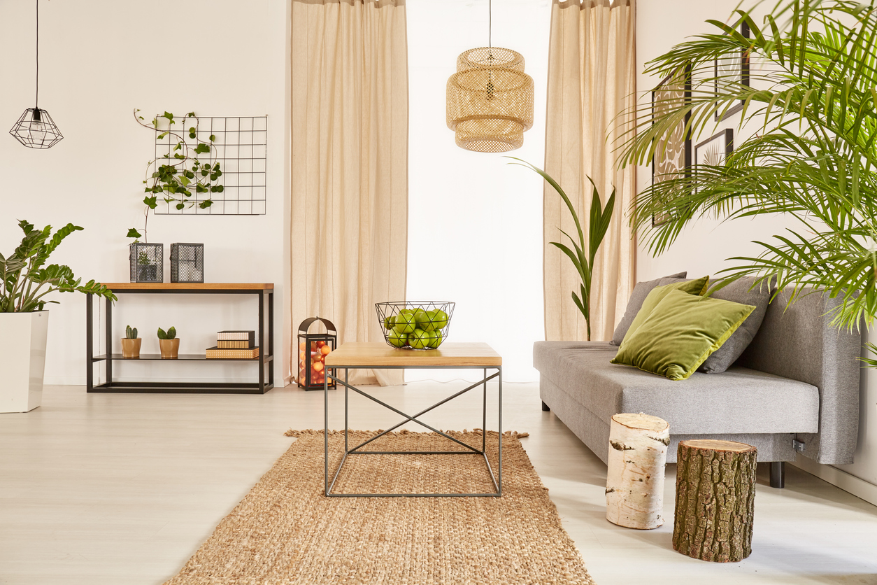rastliny v interiéri podľa Feng Shui