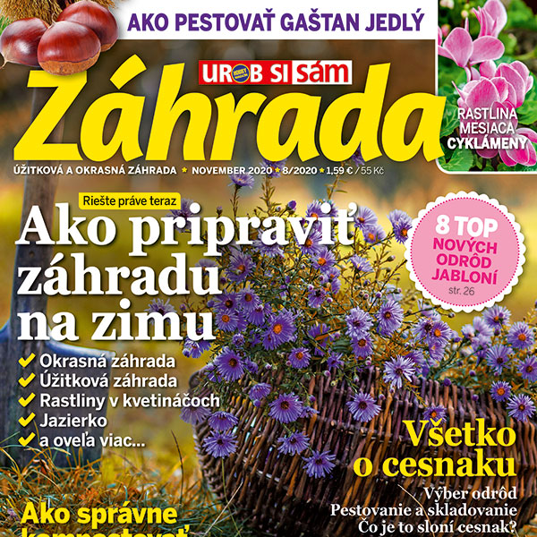 ZAHRADA_2020_08