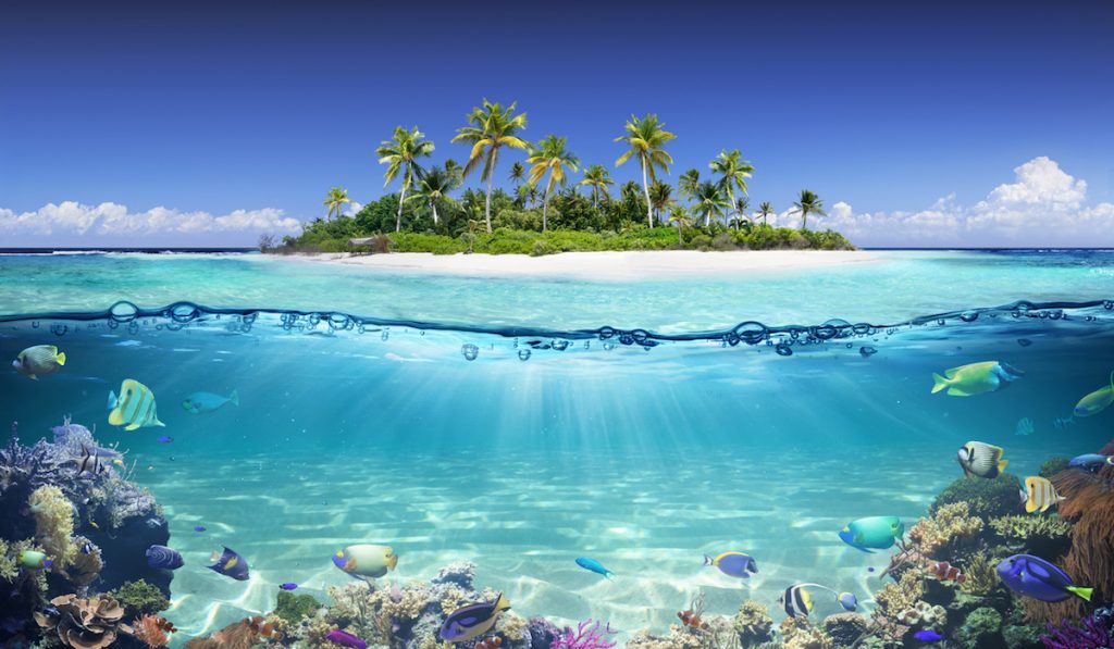 Tropický ostrov a korálové útesy