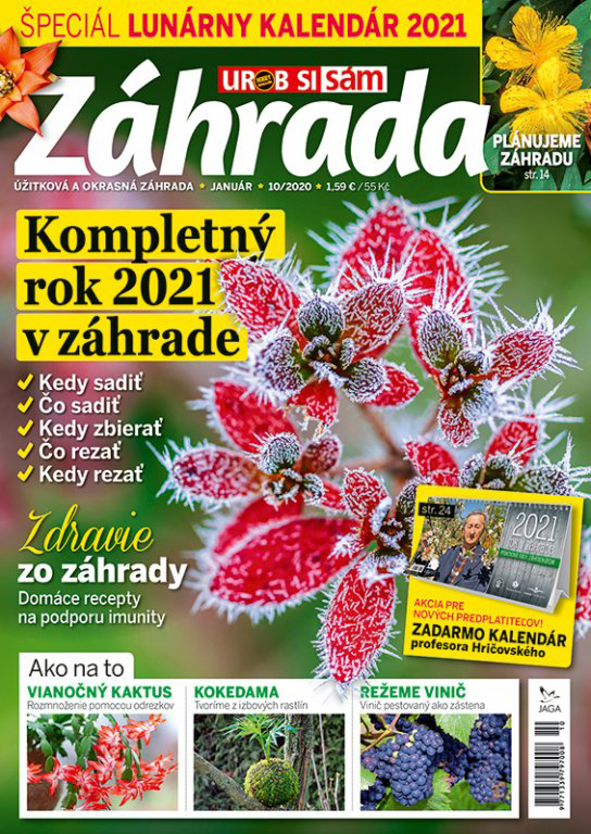 Záhrada 10/2020