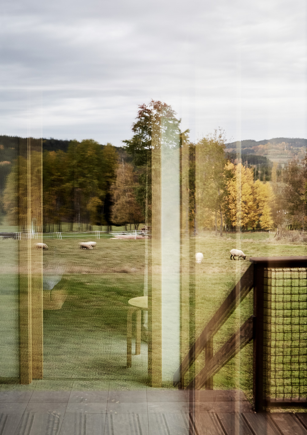 Sumava2