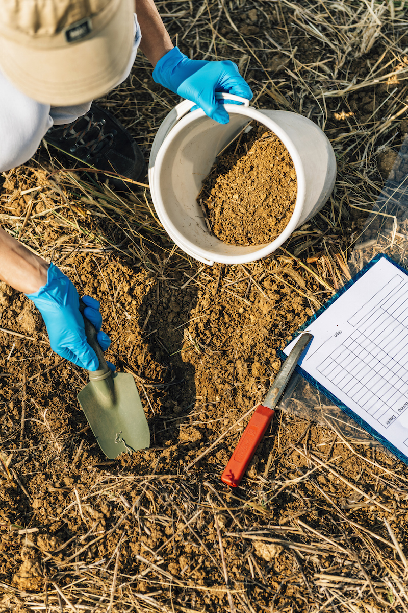 Soil Testing. Agronomy Inspector Taking Soil Sample