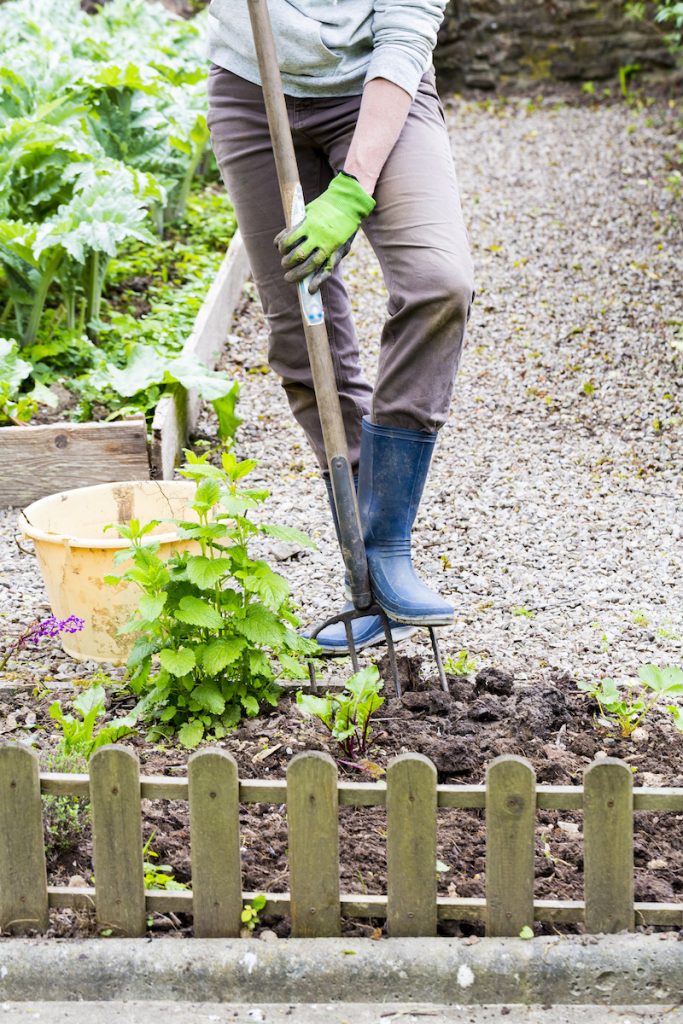 Mature woman hand taking out weeds plants from earth in garden