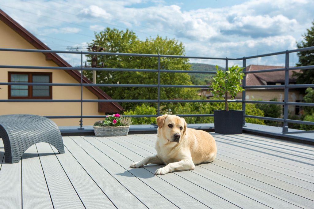 Drevoplastová terasa so psom