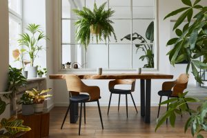 6 interiérových rastlín, ktoré skrášlia vašu kuchyňu a nie sú náročné na údržbu