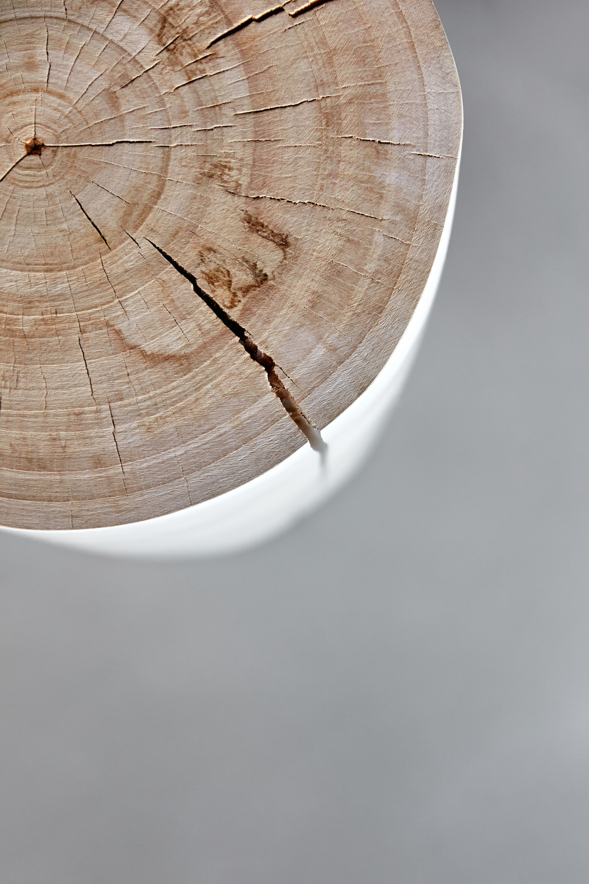 Detail dreva. 