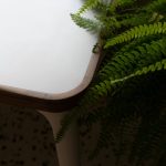 Detail stolíka a papraď