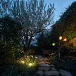Večerná záhrada s osvetlením