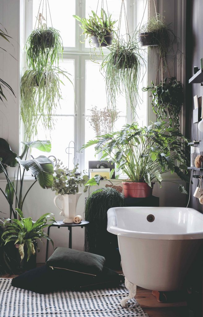 Boho kúpeľňa s vaňou plná rastlín