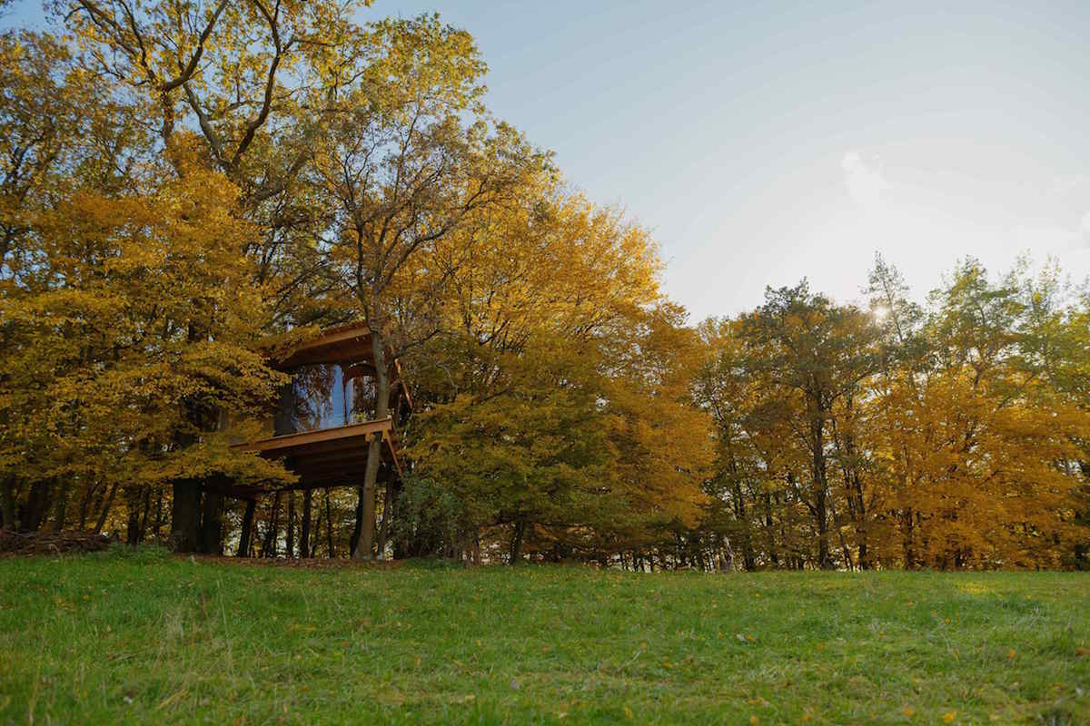 Tree house_Jan Hromádko1