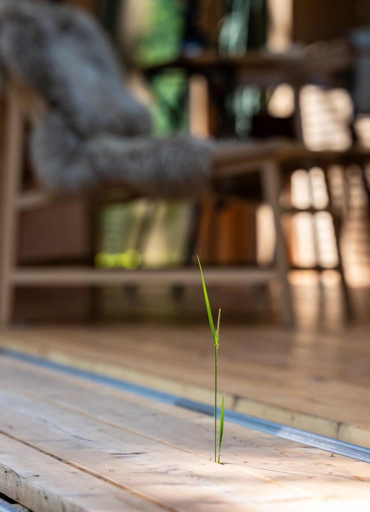 Detail drevenej podlahy v chate
