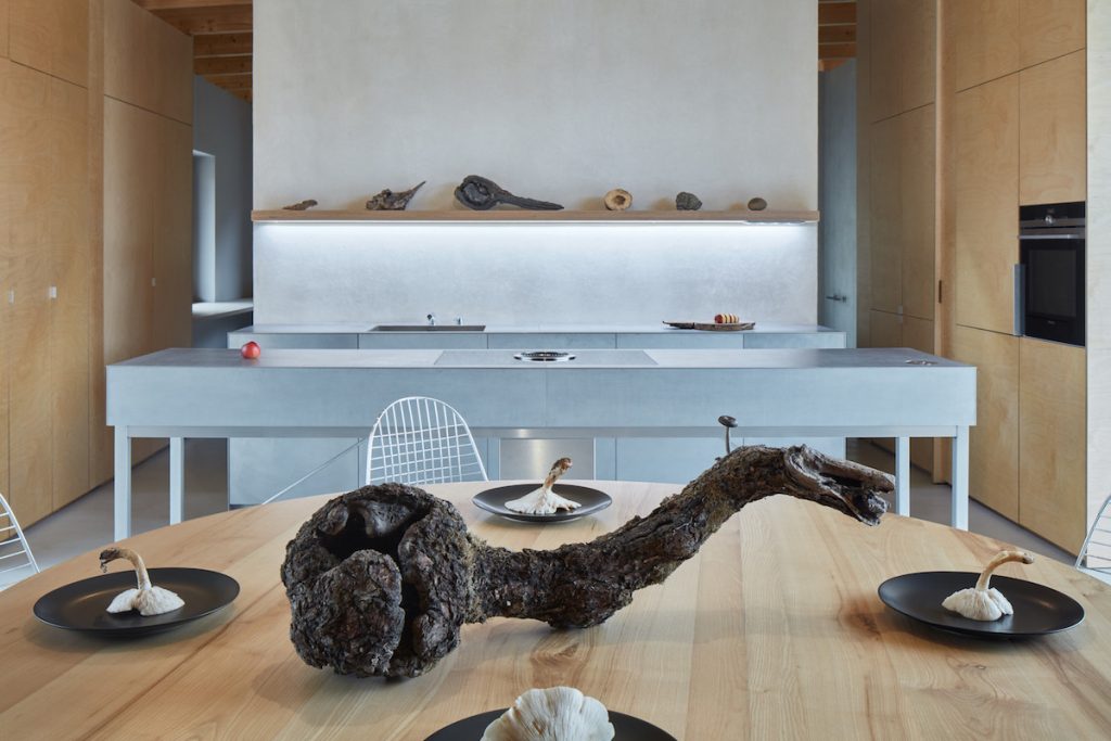 Sivá strohá kuchyňa v drevenom interiéri