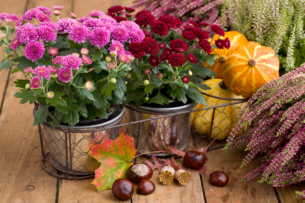 Dôkladná príprava počas jesene, je zárukou krásy a bohatej úrody na vašej záhrade