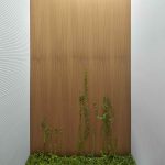 Drevená stena s ťahavou rastlinou