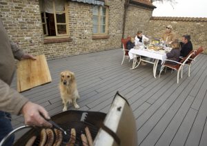 Grilovanie na terase a dívajúci sa pes