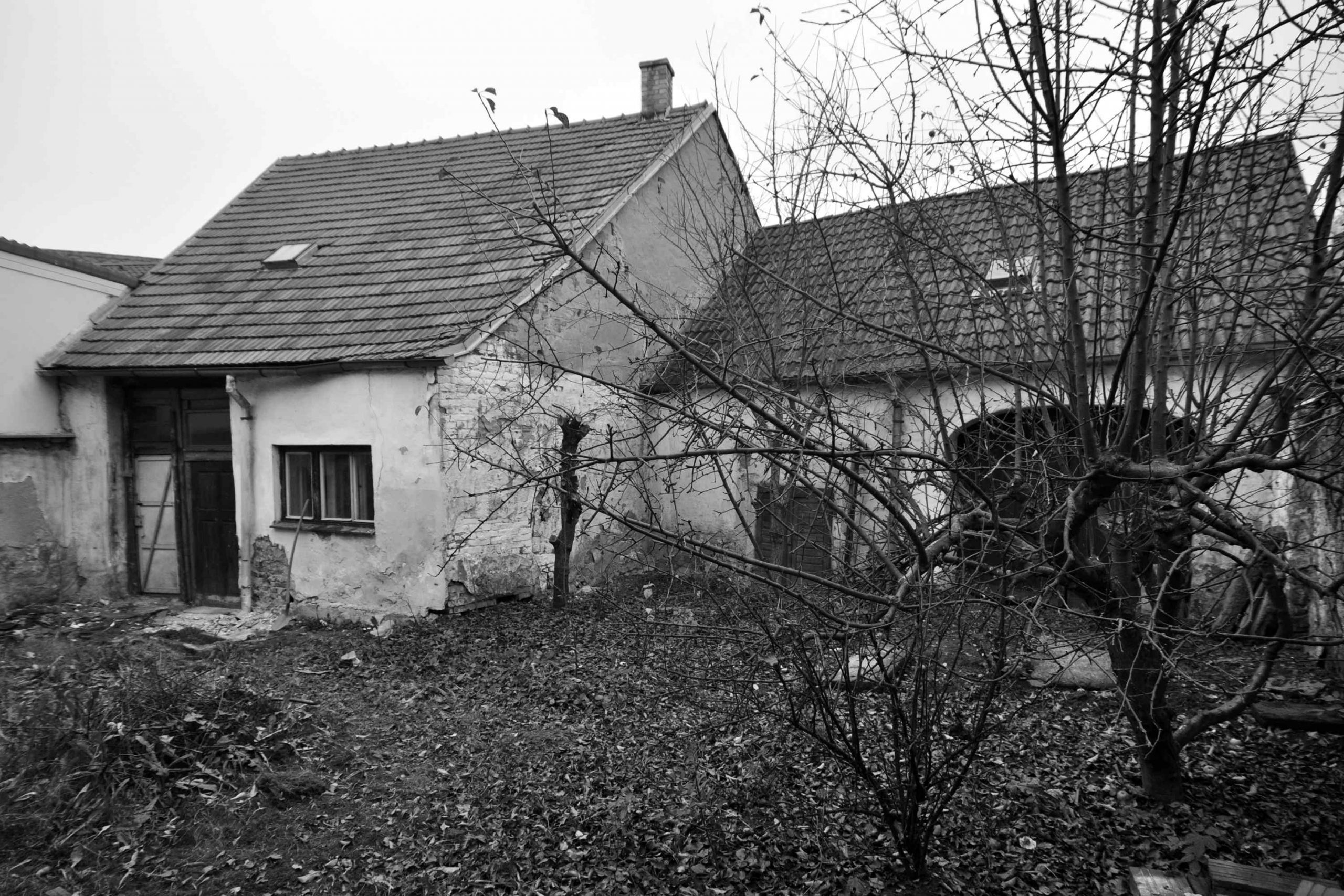 Kozina5
