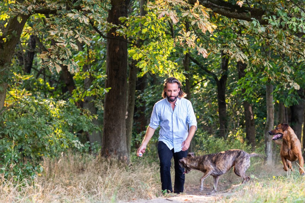 muž kráča hore kopcom so psami