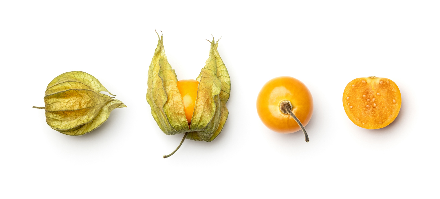 Collection of physalis berries isolated on white background. Set of multiple images. Part of series
