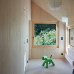 Smreková chodba s oknom do prírody a zelenou hračkou psíka