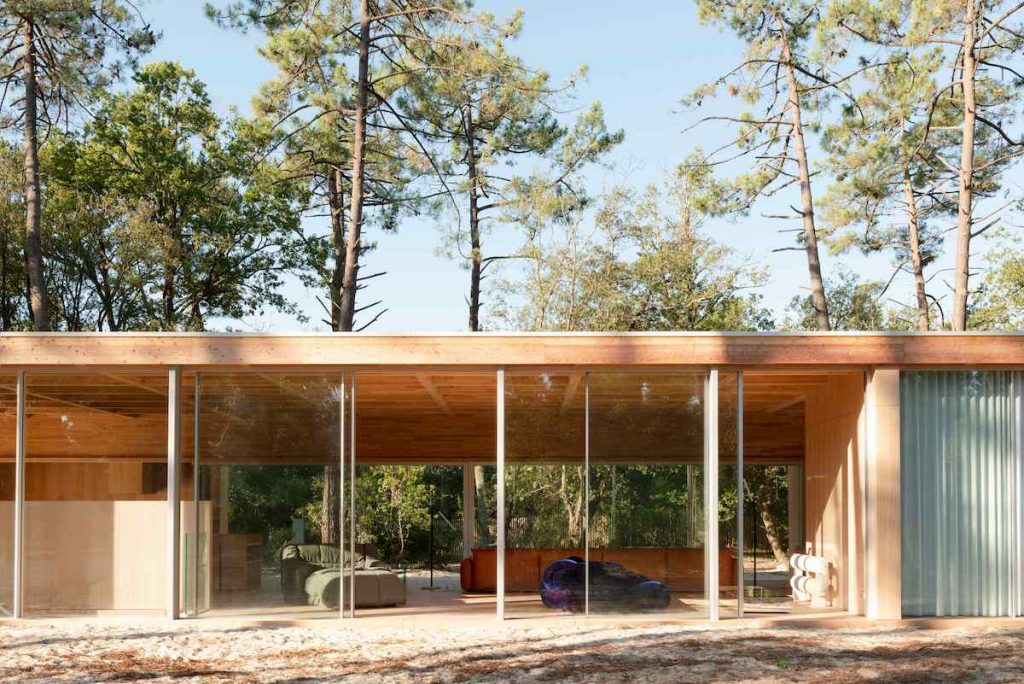 Jednopodlažná drevená vila s presklením v borovicovom lese