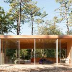 Jednopodlažná drevená vila s presklením v borovicovom lese