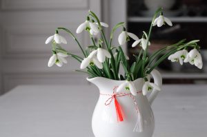 Päť okrasných rastlín, ktoré kvitnú vo februári a môžete si ich vychutnať ako rezané kvety v interiéri