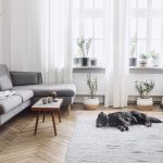 Obývačka v škandinávskom štýle