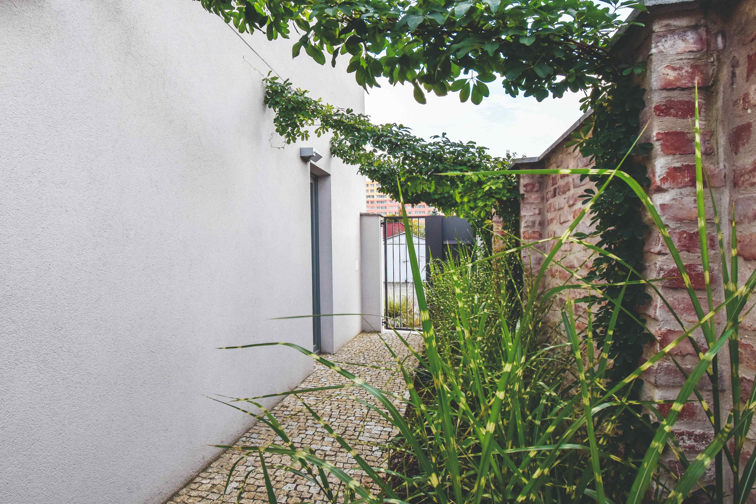 Zo zadného dvora vedie na ulicu malá bočná ulička. Po stranách ju architekti „ozelenili“ jednoduchým záhonom z okrasných tráv a baldachýnom z brečtanu, ktorý vytvorili pomocou horolezeckých a oceľových lán.