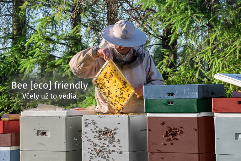Certifikát zdravotnej neškodnosti pre včely – Remmers je Bee Friendly!